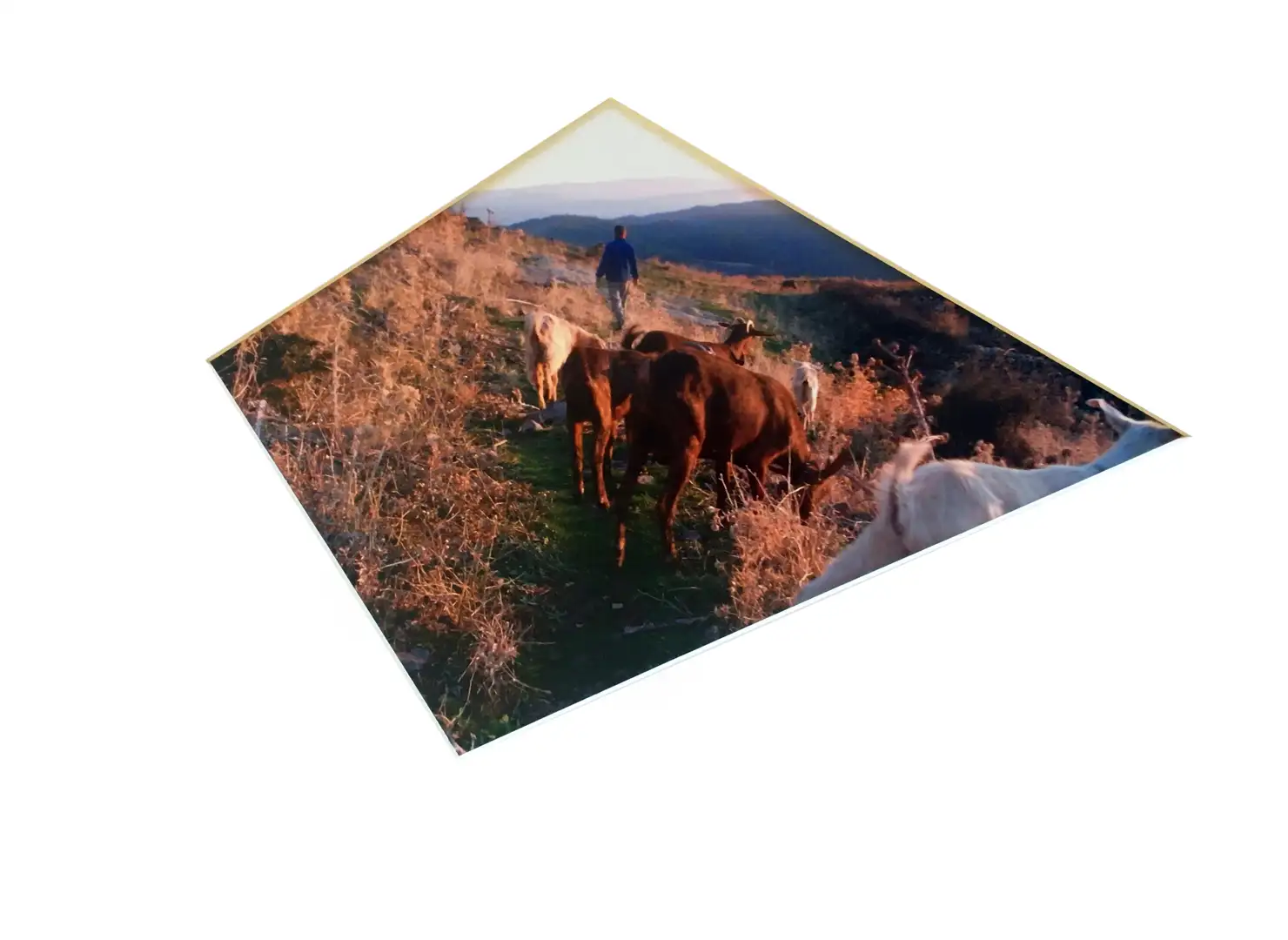 Riseset, Victory of the Sun photograph